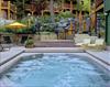 Buffalo Mountain Lodge hotel swimming pool albert