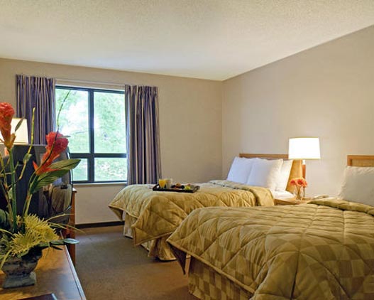 Comfort Inn hotel room