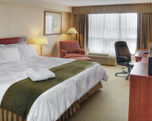 Radisson Hotel Kitchener hotel room ontario