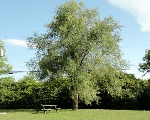 Camp-Hither-Hills-welcome-travel-Canada-gallery