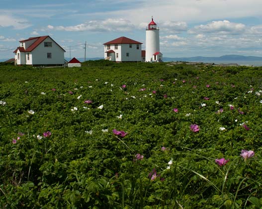 Les-Maisons-Du-Phare-welcome-travel-Canada-gallery