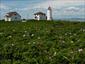 Les-Maisons-Du-Phare-welcome-travel-Canada-gallery