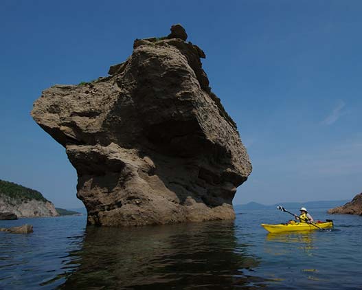 Arbor-Vista-around-NS-BB-gallery