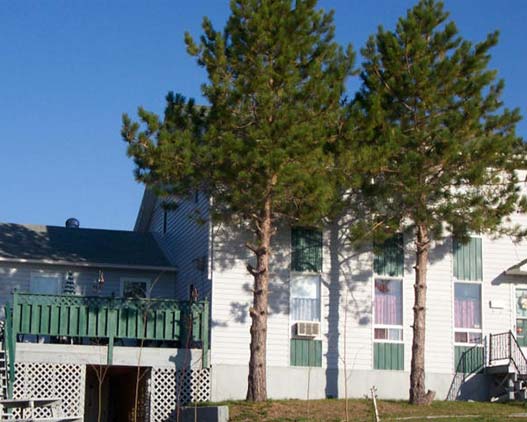 serendipity-welcome-NL-BB-gallery