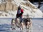 Dog-sled-Canada-activities-travel-gallery