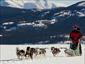 Dog-sled-Canada-activities-view-gallery