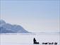 Dog-sled-Canada-activities-snow-gallery