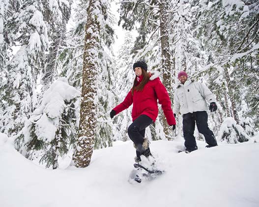 snowshoeing-tour-Canada-activities-travel-gallery