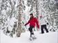 snowshoeing-tour-Canada-activities-travel-gallery
