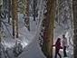 snowshoeing-tour-Canada-activities-walk-gallery