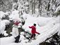 snowshoeing-tour-Canada-activities-bridge-gallery