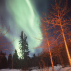 Multy-Activities and Aurora Viewing Package Yukon Whitehorse