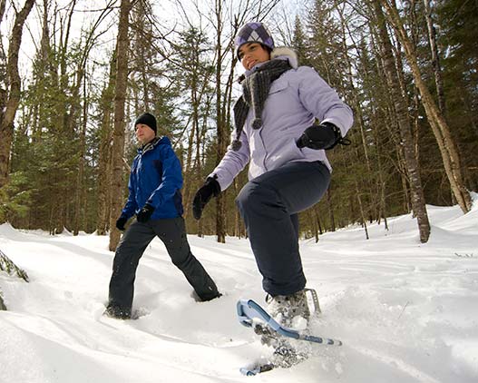 Modern-Days-Voyager-Canada-travel-gallery