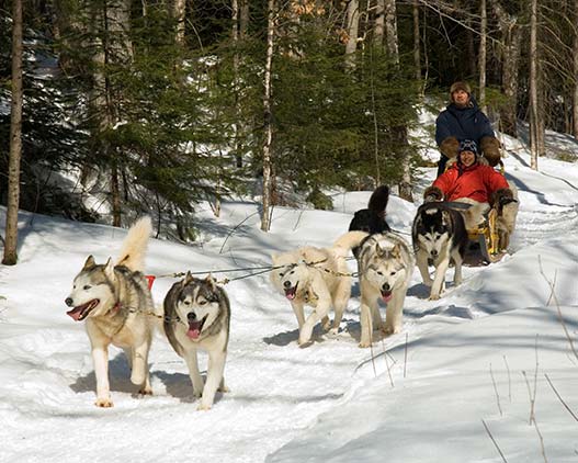 traineau-Sacacomie-Canada-activity-travel-gallery