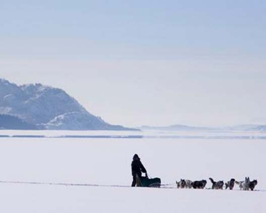 Dog-sled-Canada-activities-view-gallery