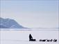 Dog-sled-Canada-activities-view-gallery