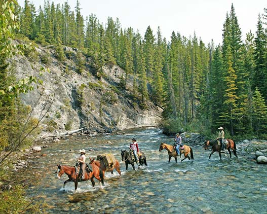 western-lunch-horseback-Canada-loop-gallery
