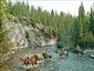 western-lunch-horseback-Canada-loop-gallery