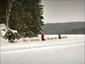 dog-sled-Lac-Blanc-Canada-activities-snow-gallery