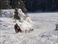 dog-sled-Lac-Blanc-Canada-activities-run-gallery