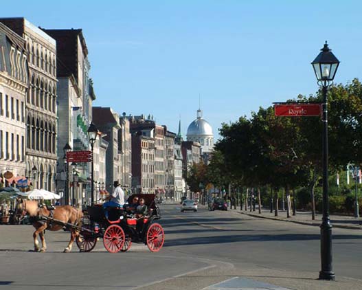 Private-guide-city-tour-Mtl-3h-Canada-gallery