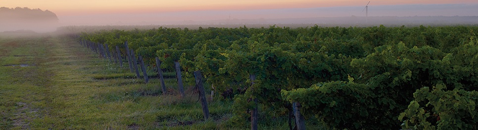 header-general-home-1