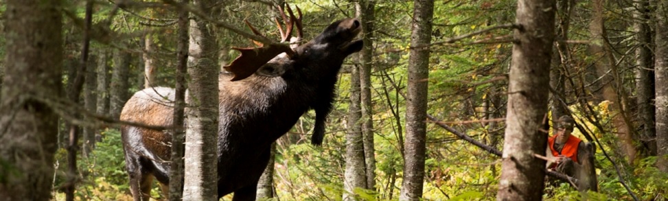 header-general-home-1