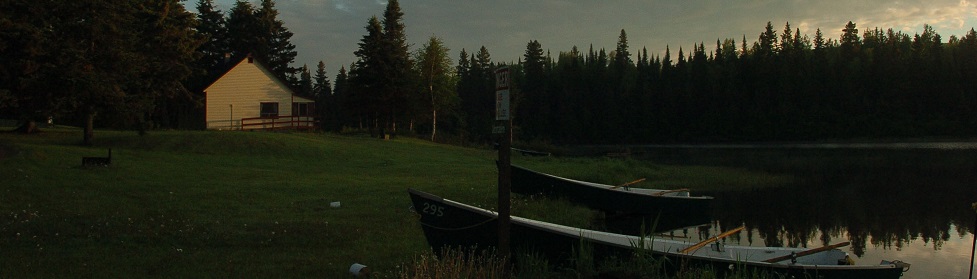 header-general-home-1