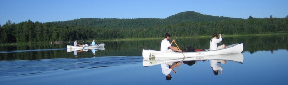 header-general-home-1