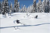 kirk-2-sleds - GALLERY