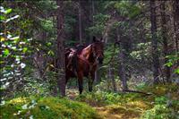 Backcountry-6  - GALLERY