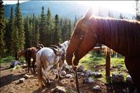 Backcountry-30 - GALLERY