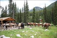 Sundance Horse Corral - GALLERY