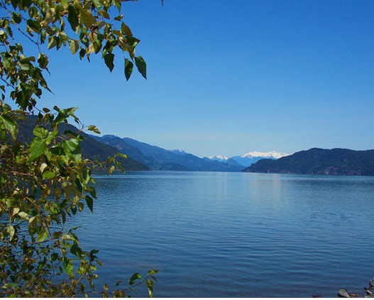 beautifulHarrisonLake