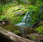 Fjord-du-Saguenay National Park Saguenay National Park