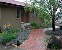 Above the Beach-garden