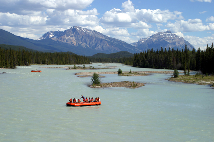 Scenic Float trip on Athabasca River (lenght: 2h30)