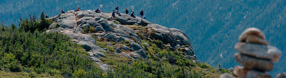 header-general-home-1