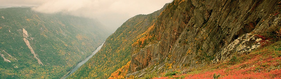 header-general-home-1