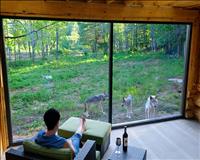 Parc-Omega-Wolf Cabin-Canada-gallery