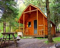 Cabine en bois rond