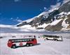 brewstercalgaryactivitycolumbiaicefield1albe