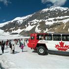 One Day in Columbia Icefield and the Glacier Skywalk (coach)