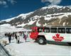 brewstercalgaryactivitycolumbiaicefield2albe