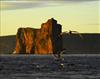 Croisière de l'île Bonaventure et du Rocher Percé