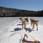 Introduction to Dog Sledding (1h30) - 2 persons by Sled