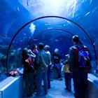 parcaquariumquebecactivitevoyageenfamilleq