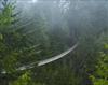 Pont Suspendu de Capilano