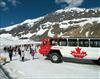 rockymountainscoachtravelicefieldsparkwaygl