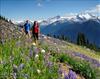 coachtravelvancouvertowhistlerbritishcolumb